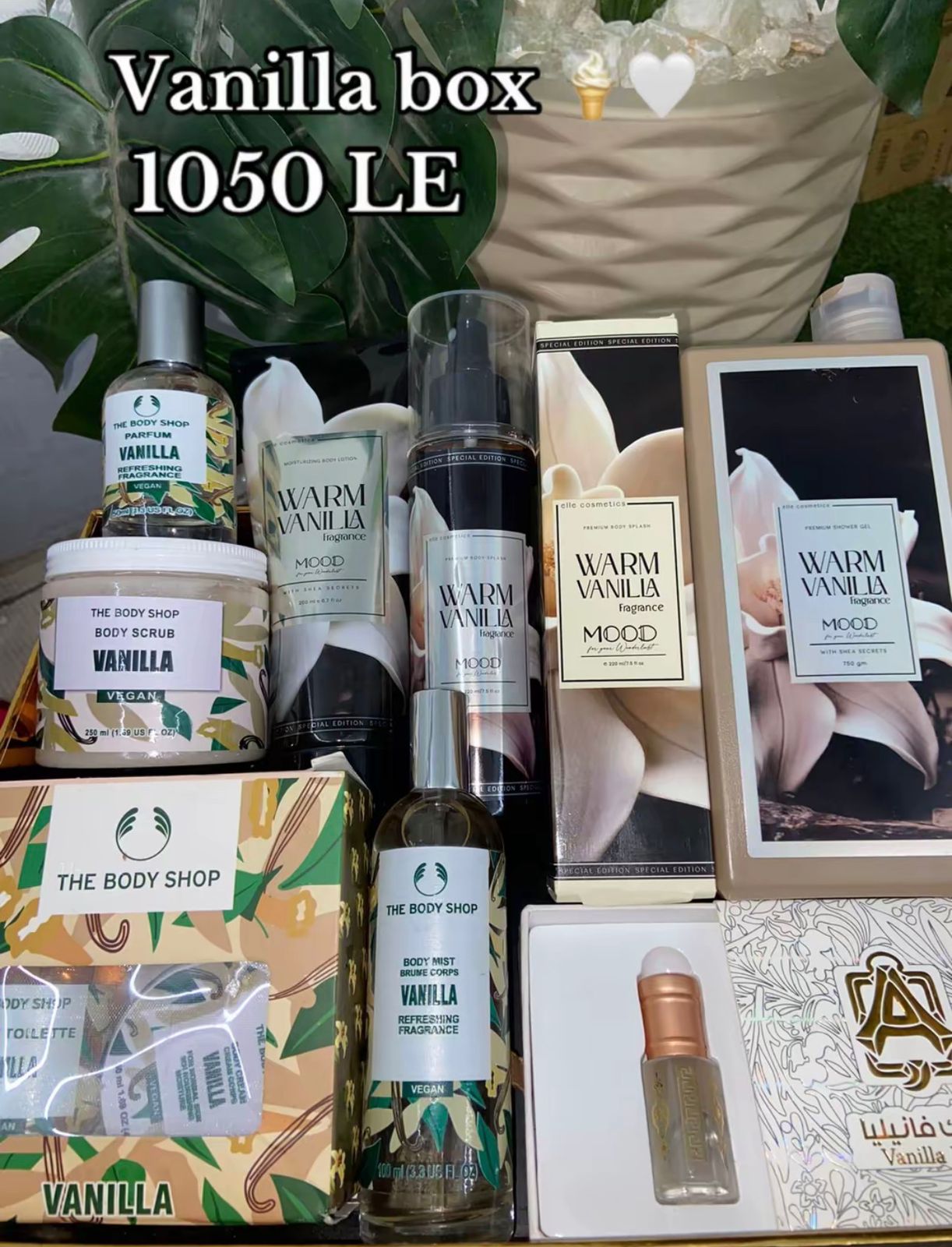 Vanilla box 🍦